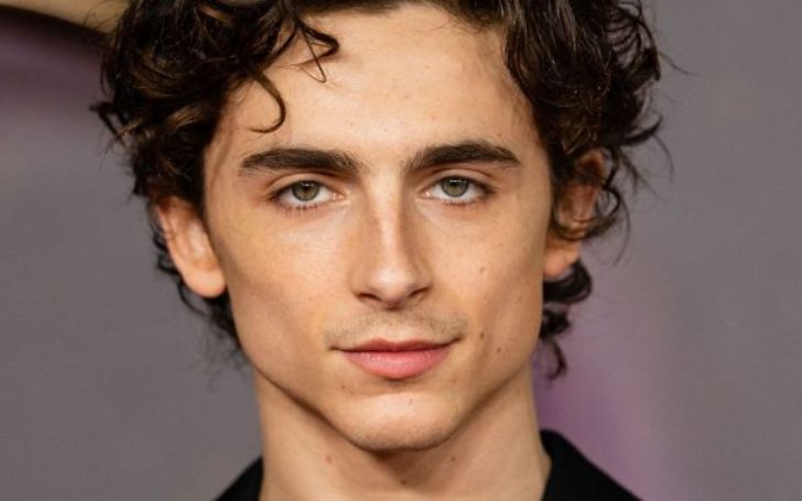 Timothee Chalamet Is an American Actor And Stage Performer.